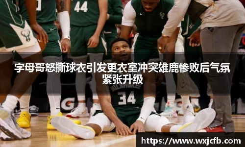bsports官网入口